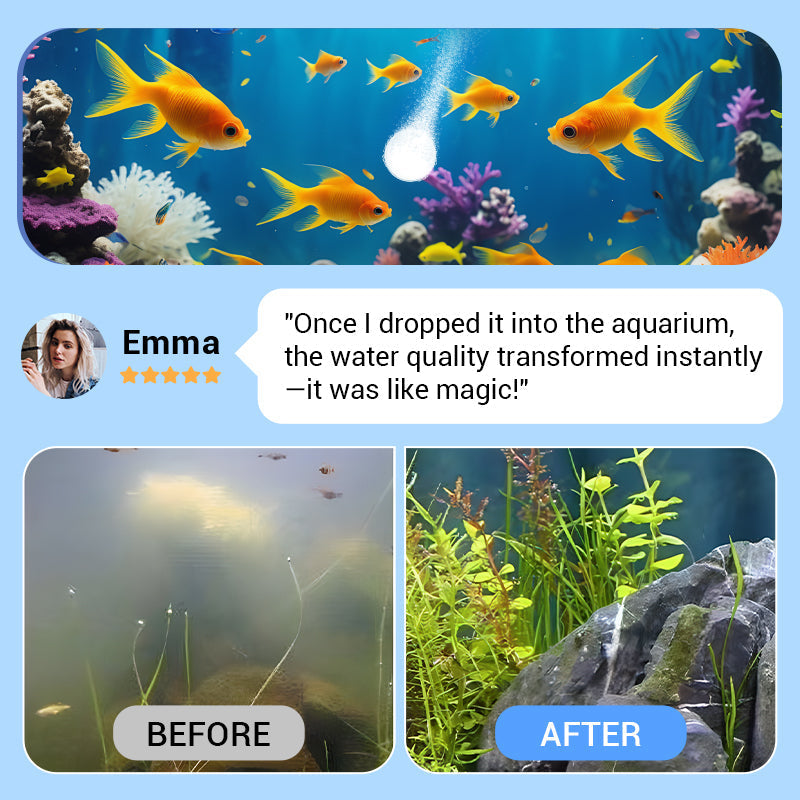 Buy 1 Get 1 Free⚡50K+ SOLD!🐠Powerful Aquarium Water Purification Tablet🌿