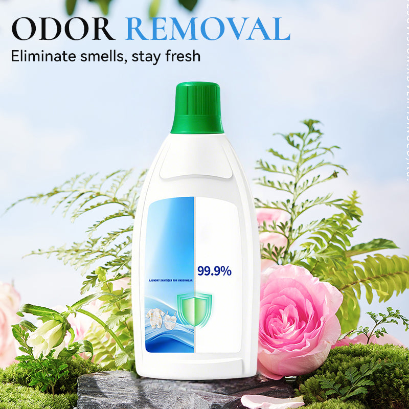 2026 Newly Upgraded Version - Liquid Antibacterial Underwear Laundry Detergent