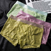 Men's Soft Breathable Mesh Boxer Briefs🩲