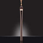 NEW✨✨20-Piece Makeup Brush Set