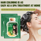 🔥Hot Sale Offers | 2-in-1 Effortless Bubble Hair Color